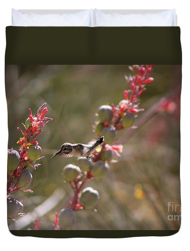 Hummingbird Duvet Cover featuring the photograph Hummingbird Flying To Red Yucca 1 in 3 by Colleen Cornelius