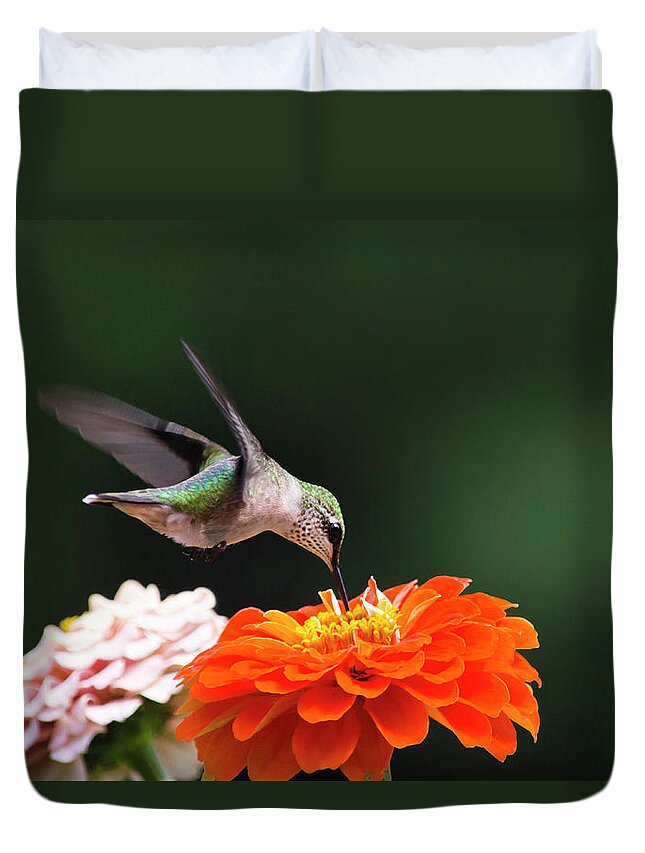 Hummingbird Duvet Cover featuring the photograph Hummingbird in Flight with Orange Zinnia Flower by Christina Rollo