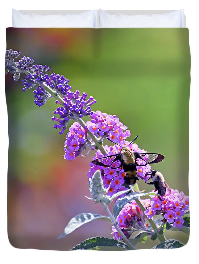 Insects Duvet Cover featuring the photograph Hummingbird Moth and Bee Share the Butterfly Bush by Kerri Farley