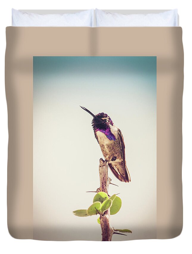 Hummingbird Duvet Cover featuring the photograph Hummingbird Mustache by Rebekah Zivicki
