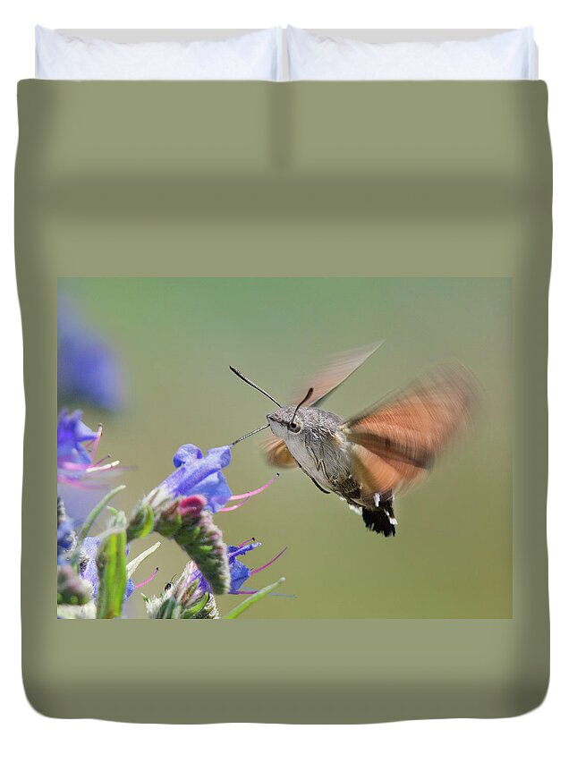 Vipers Bugloss Duvet Covers