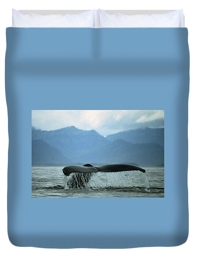 Diving Into Water Duvet Cover featuring the photograph Humpback Whale Sounding by James Gritz