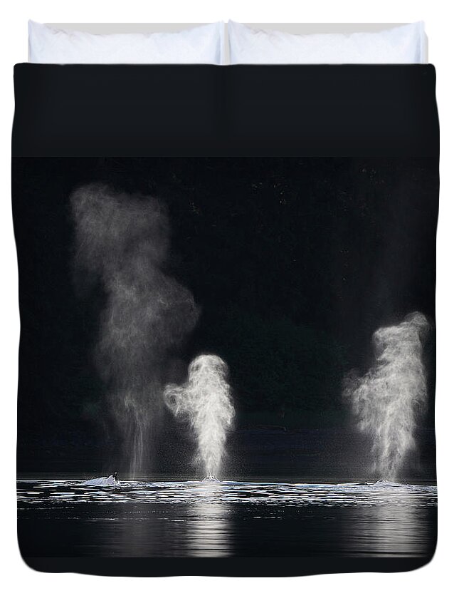 00640537 Duvet Cover featuring the photograph Humpback Whales Spouting by Hiroya Minakuchi