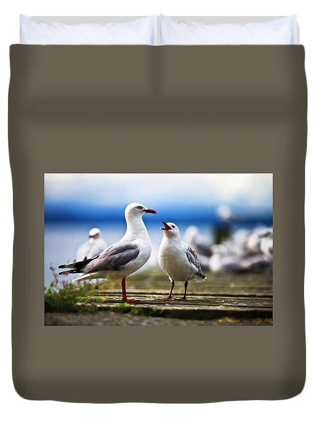 Animal Themes Duvet Cover featuring the photograph Hungry Gull by Ignacio Hennigs
