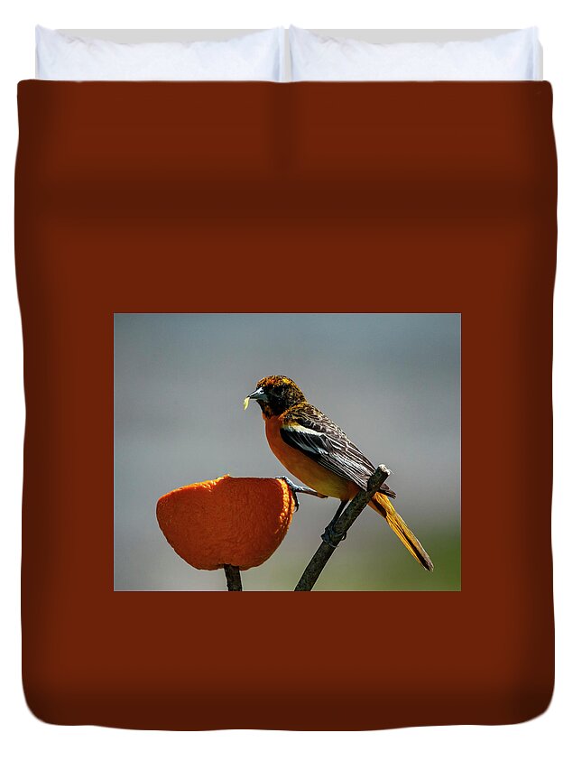 Bird Duvet Cover featuring the photograph Hungry Oriole by Cathy Kovarik