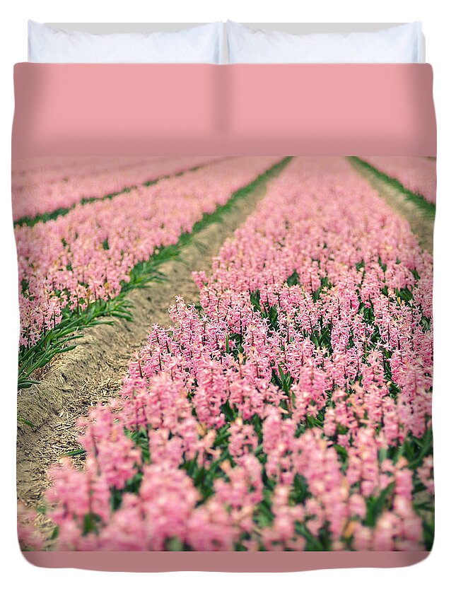 North Holland Duvet Cover featuring the photograph Hyacinth Field by Photo By Ira Heuvelman-dobrolyubova