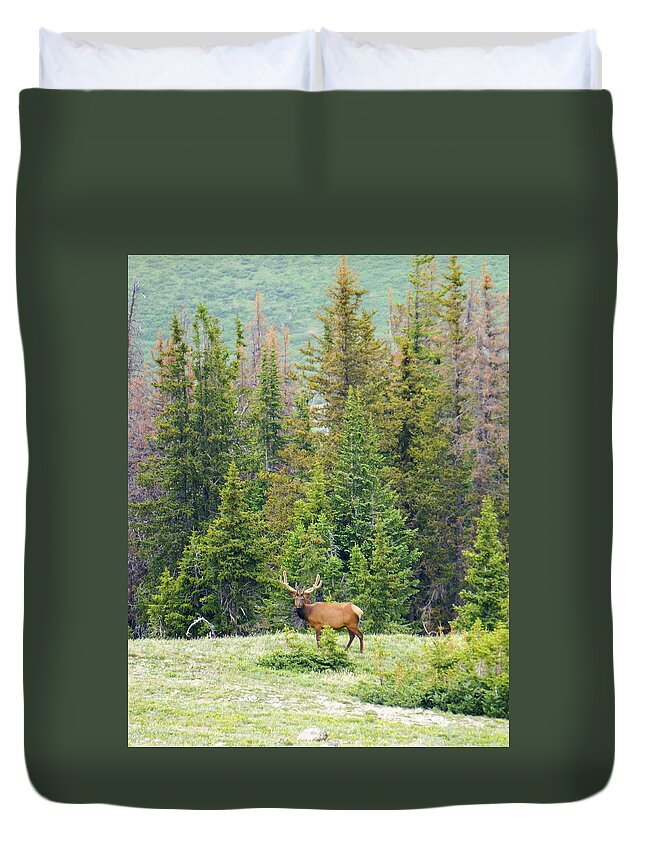Rocky Duvet Cover featuring the photograph I am Elk 1 by Richard A Brown