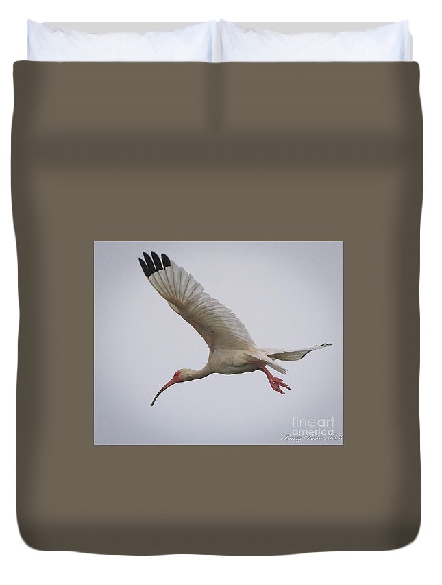 Nature Duvet Cover featuring the photograph Ibis in flight by Barry Bohn
