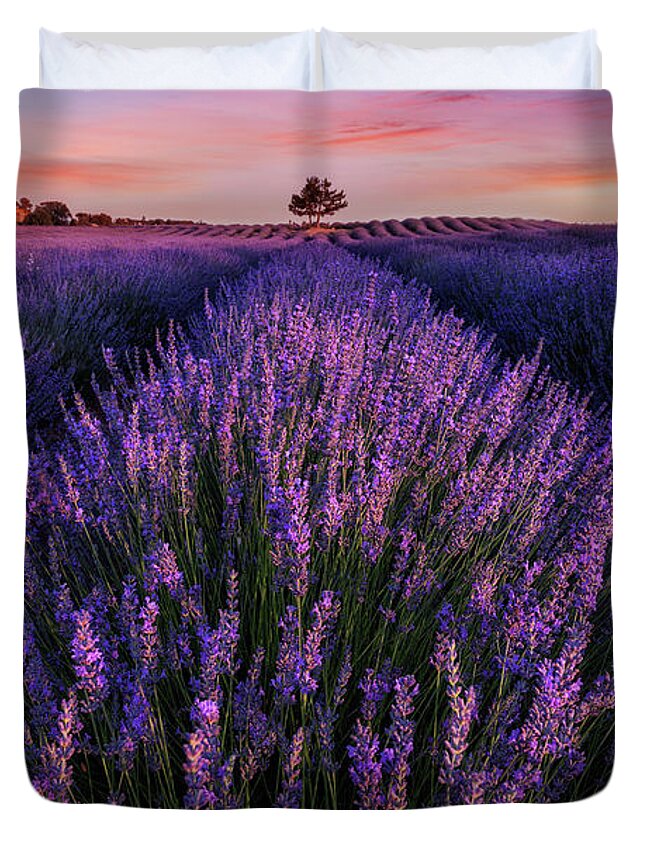 Landscape Duvet Cover featuring the photograph In to the dream by Jorge Maia