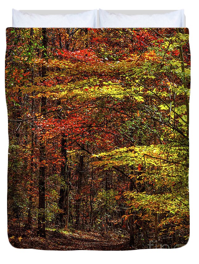 Sweetwater-creek Duvet Cover featuring the photograph Indian Summer at sweetwater creek state park by Bernd Laeschke