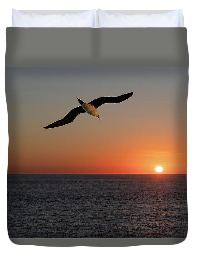 Sunset Duvet Cover featuring the photograph Into the setting sun by William Dickman