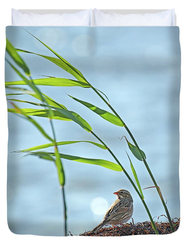 New Jersey Duvet Cover featuring the photograph Ipswich Sparrow by Jennifer Robin