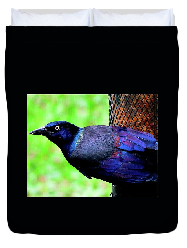 Grackle Duvet Cover featuring the photograph Iridescent Grackle by Linda Stern