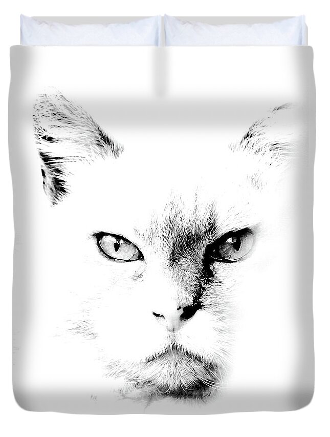 Cat Art Duvet Cover featuring the photograph Iris by Sandra Dalton