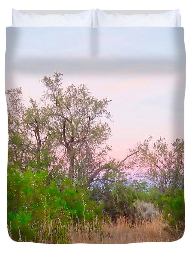 Affordable Duvet Cover featuring the photograph Ironwood Trees After Sundown by Judy Kennedy
