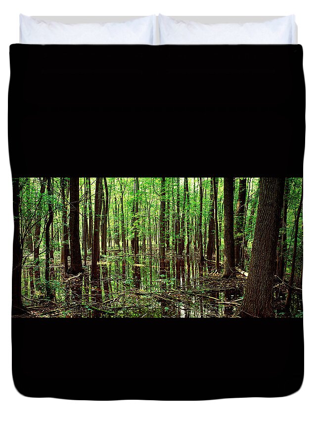 Photography Duvet Cover featuring the photograph Iroquois National Wildlife Refuge Ny by Panoramic Images