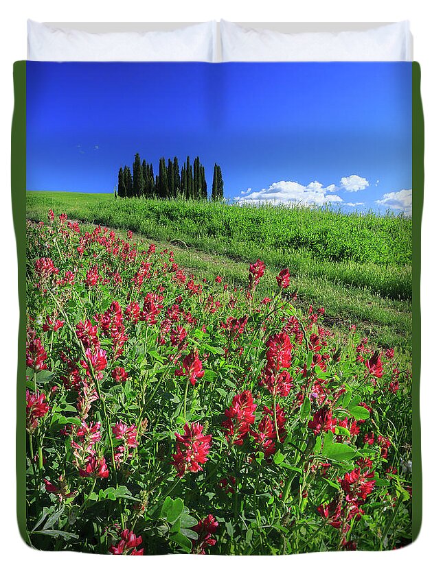 Estock Duvet Cover featuring the digital art Italy, Tuscany, Flowers In Bloom by Maurizio Rellini