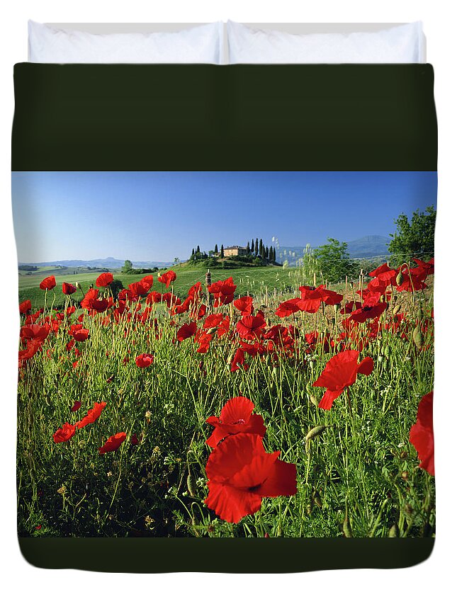 Grass Duvet Cover featuring the photograph Italy, Tuscany, San Quirico Dorcia by David C Tomlinson