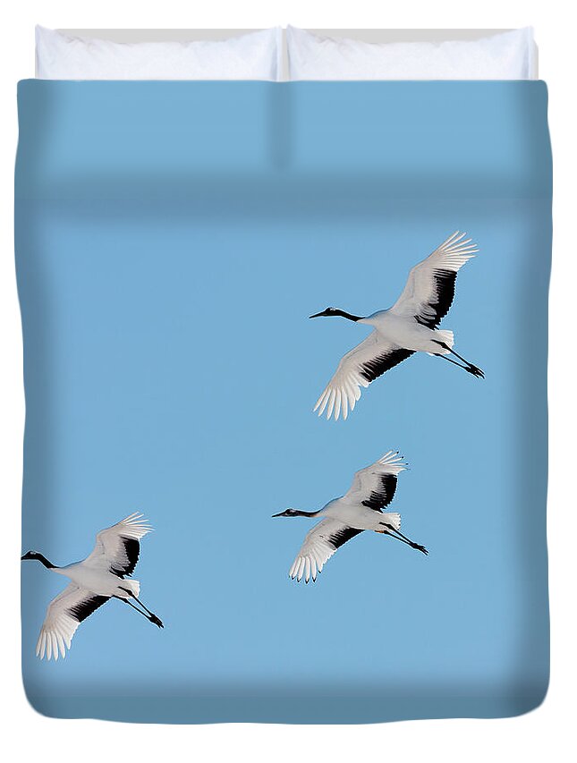 Hokkaido Duvet Cover featuring the photograph Japanese Cranes, Hokkaido, Japan by Mint Images/ Art Wolfe