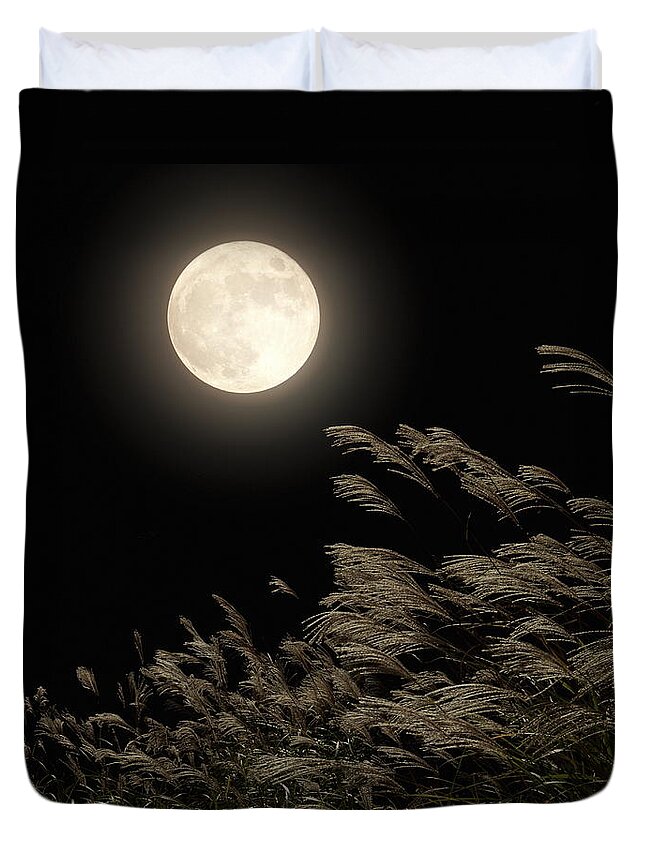 Pampas Duvet Cover featuring the photograph Japanese Pampas Grass Under Moon by Gyro Photography/amanaimagesrf