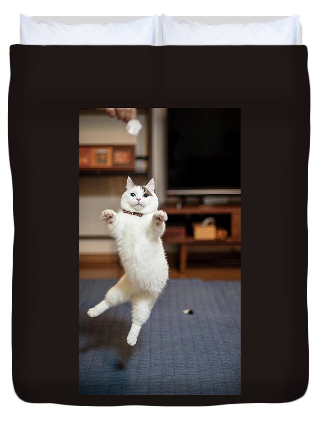 Pets Duvet Cover featuring the photograph Jumping Cats by Nazra Zahri