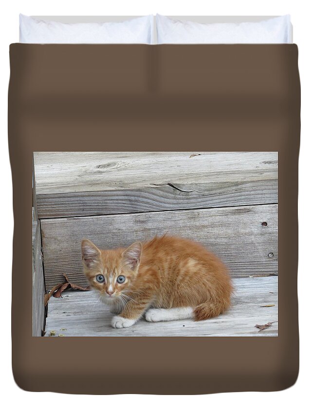 Kitten Duvet Cover featuring the photograph Just Chillin' by Aaron Martens