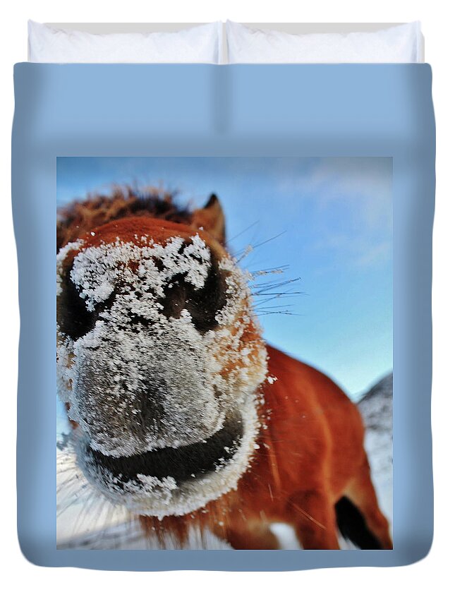 Horse Duvet Cover featuring the photograph Just Saying Hi by Jaana-marja Rotinen