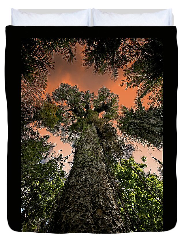 Tranquility Duvet Cover featuring the photograph Kauri Tree Sunset by Mark Meredith
