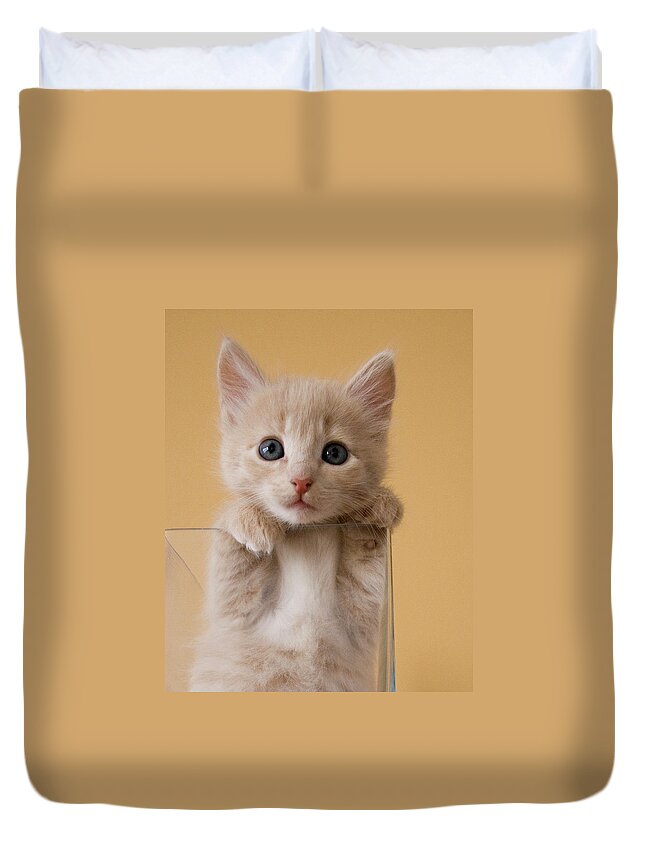 Pets Duvet Cover featuring the photograph Kitten In Glass Vase by Sanna Pudas