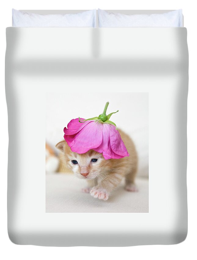Pets Duvet Cover featuring the photograph Kitten Walking With Flower Hat by Sanna Pudas