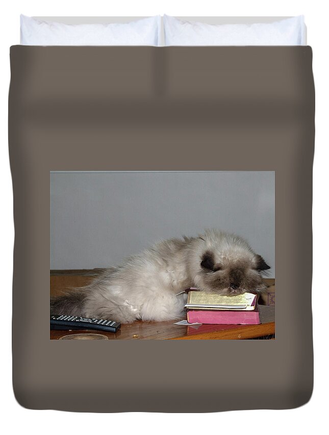 Grey Duvet Cover featuring the photograph Knap Time for Kitty by Chuck Shafer