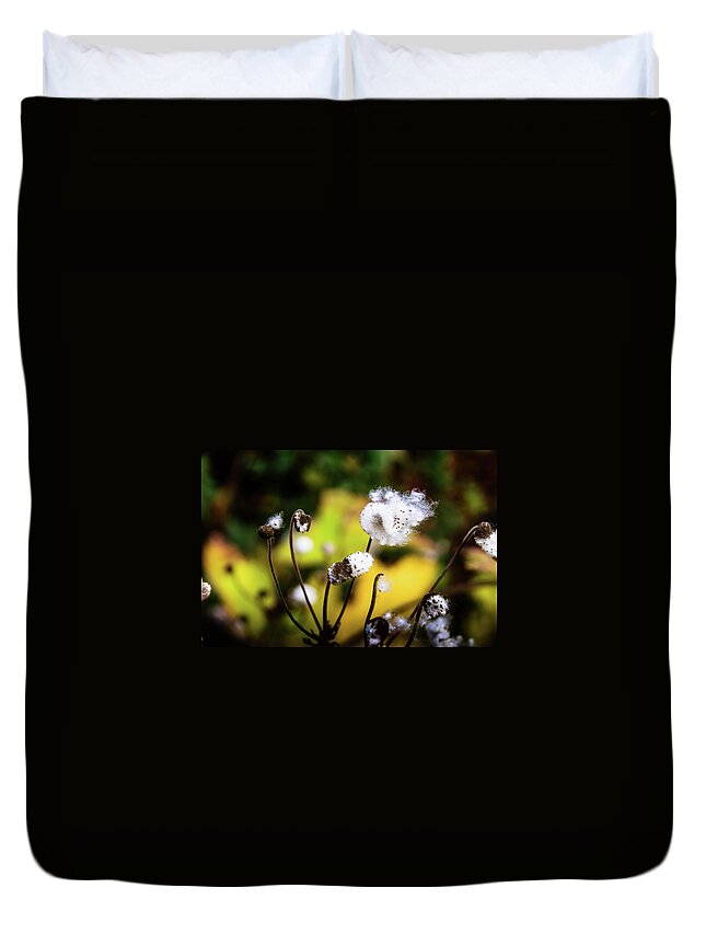 Tree Duvet Cover featuring the photograph Knowing Autumn by Christopher Maxum