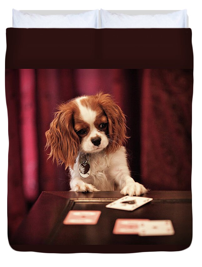 Pets Duvet Cover featuring the photograph Lady Luck by R. Brandon Harris