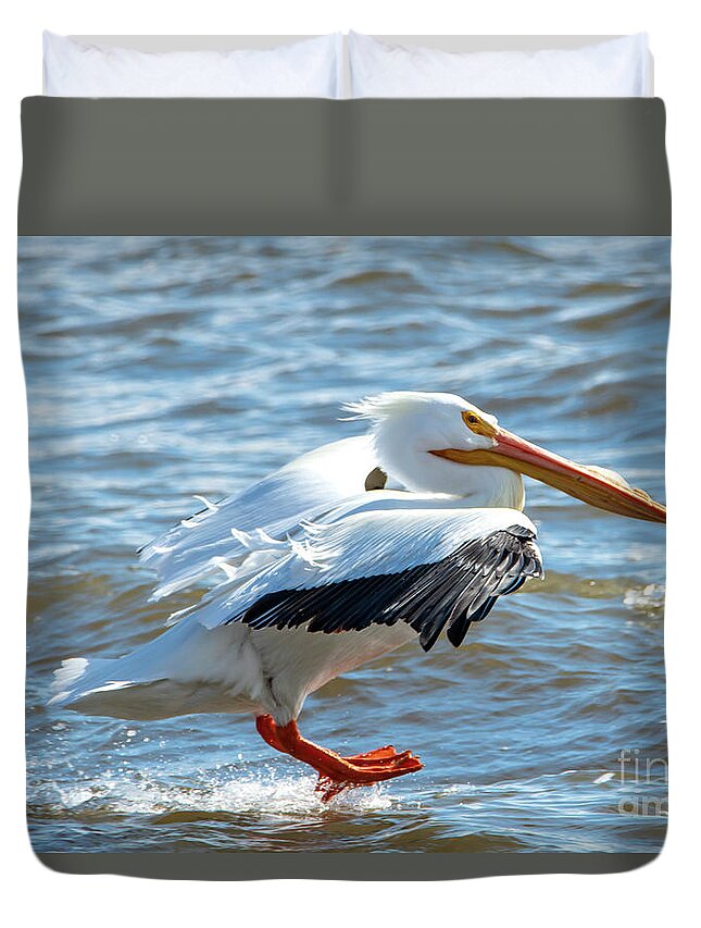 Pelican Duvet Cover featuring the photograph Landing Gear Down on Pelican by Sandra J's