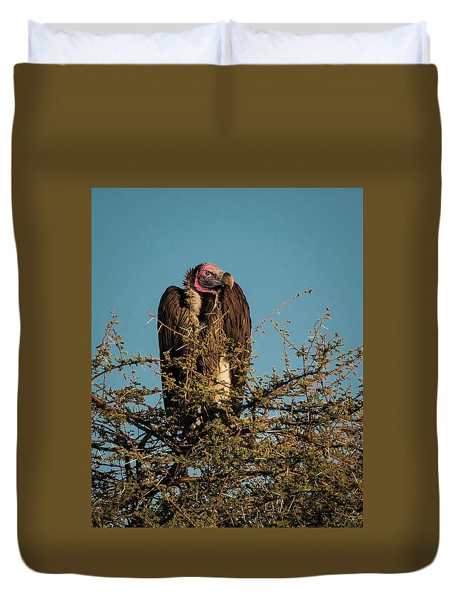 Vulture Duvet Cover featuring the photograph Lappet-faced Vulture 1 by Claudio Maioli