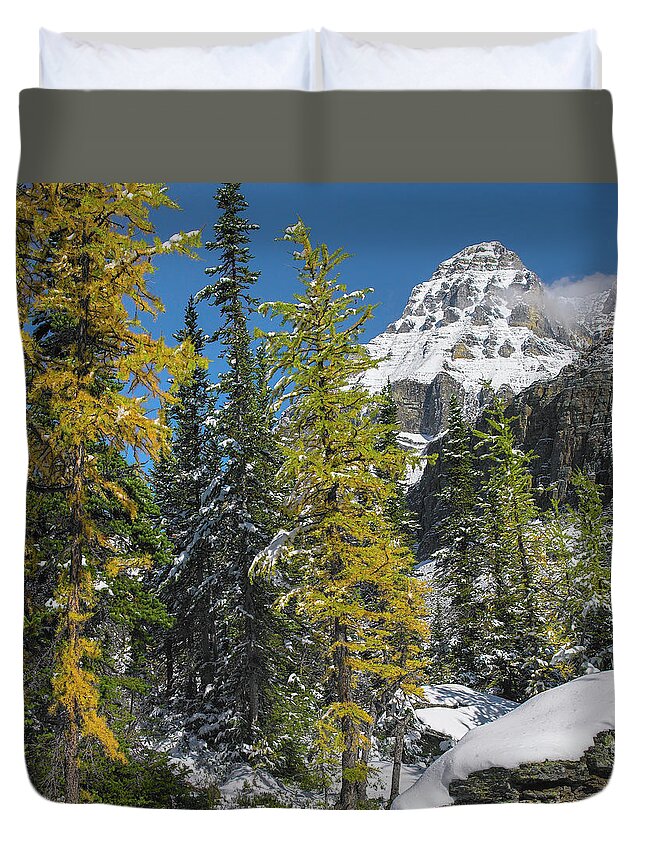 00586279 Duvet Cover featuring the photograph Larch Trees Below Mount Huber, Yoho National Park, British Columbia by Tim Fitzharris