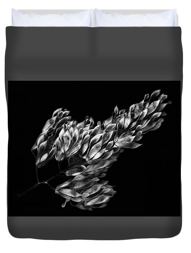 Seeds Duvet Cover featuring the photograph Large Seed Pod Cluster by Robert Woodward