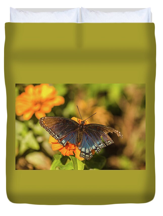 Butterfly Duvet Cover featuring the photograph Last of the Butterflies by Beth Venner