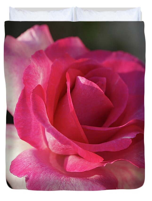 Rose Duvet Cover featuring the photograph Late October Rose by Cathy Donohoue