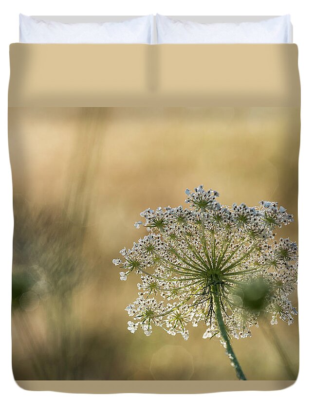 Astoria Duvet Cover featuring the photograph Late Summer Lace by Robert Potts