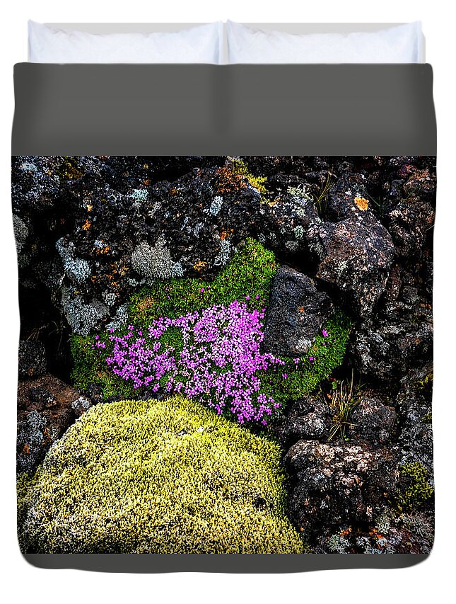 Iceland Duvet Cover featuring the photograph Lava Rocks And Flowers by Tom Singleton