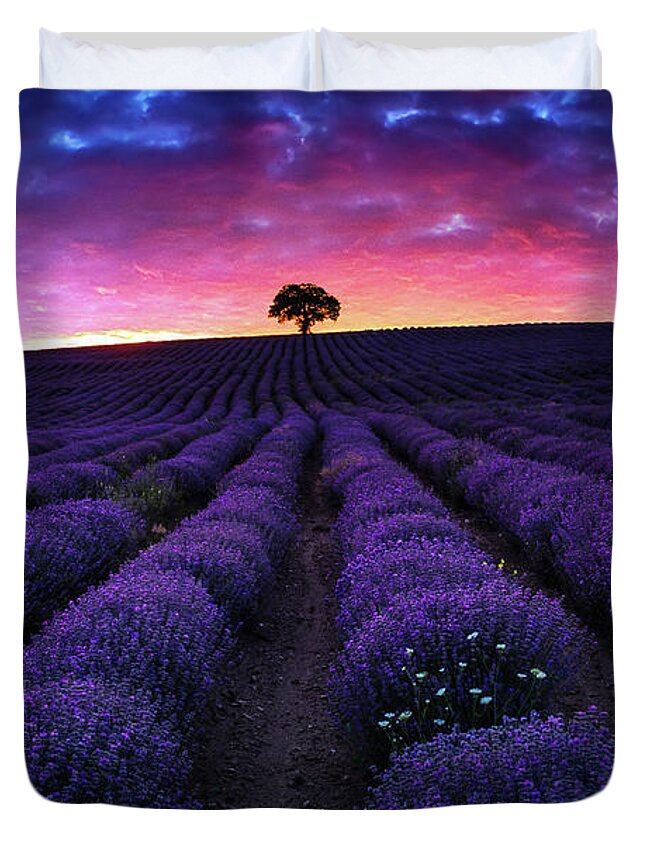 Afterglow Duvet Cover featuring the photograph Lavender Dreams by Evgeni Dinev