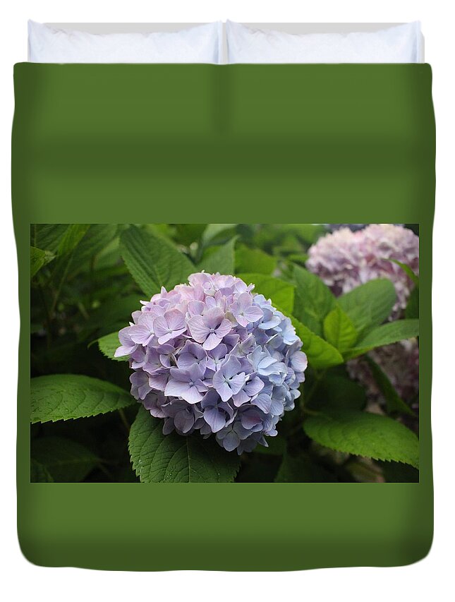 Lavender Duvet Cover featuring the photograph Lavender Hydrangea, Cape May by Christopher Lotito