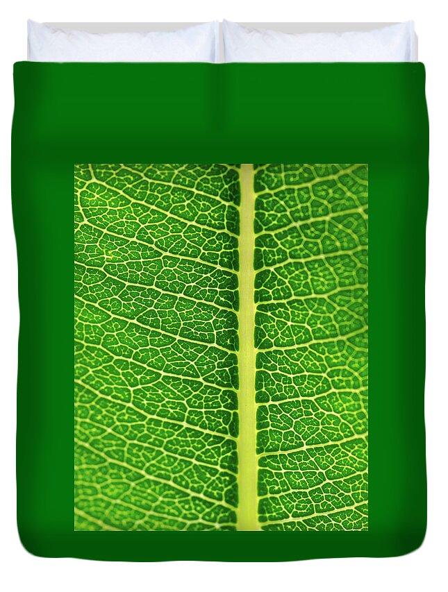 Green Duvet Cover featuring the photograph Leaf Veins by Jeff Phillippi