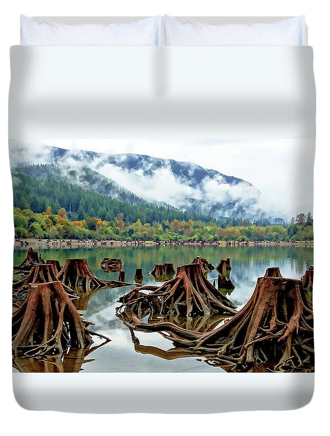 Trees Duvet Cover featuring the photograph Leftovers by Rick Lawler