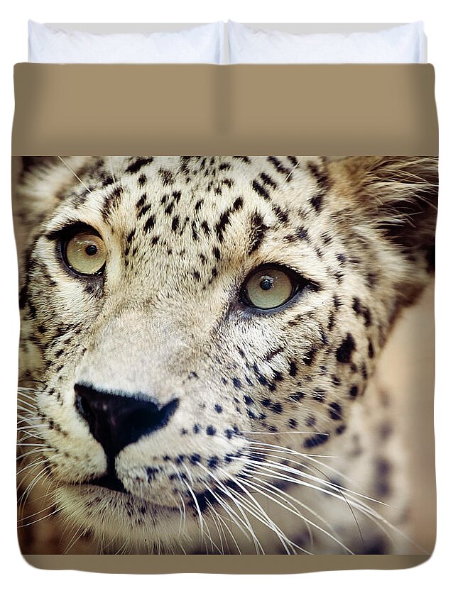 Animal Themes Duvet Cover featuring the photograph Leopard Head by Copyright Anna Nemoy(xaomena)