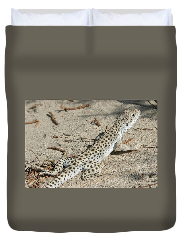 Lizard Duvet Cover featuring the photograph Leopard Lizard by Kent Keller