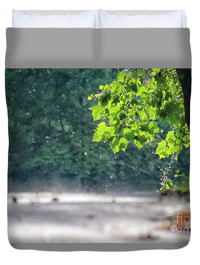 Summer Duvet Cover featuring the photograph Letting Off Steam by Karen Adams