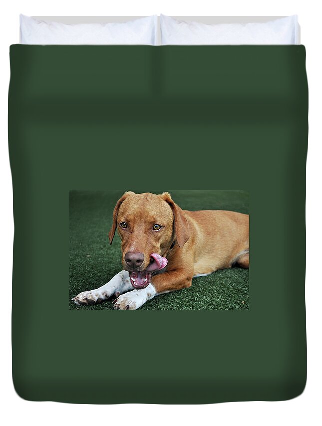 Pets Duvet Cover featuring the photograph Licking Lips by Hillary Kladke