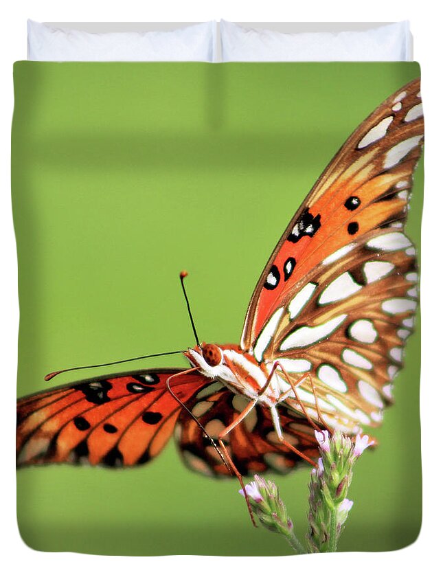Butterfly Duvet Cover featuring the photograph Life in Balance by Michael Allard